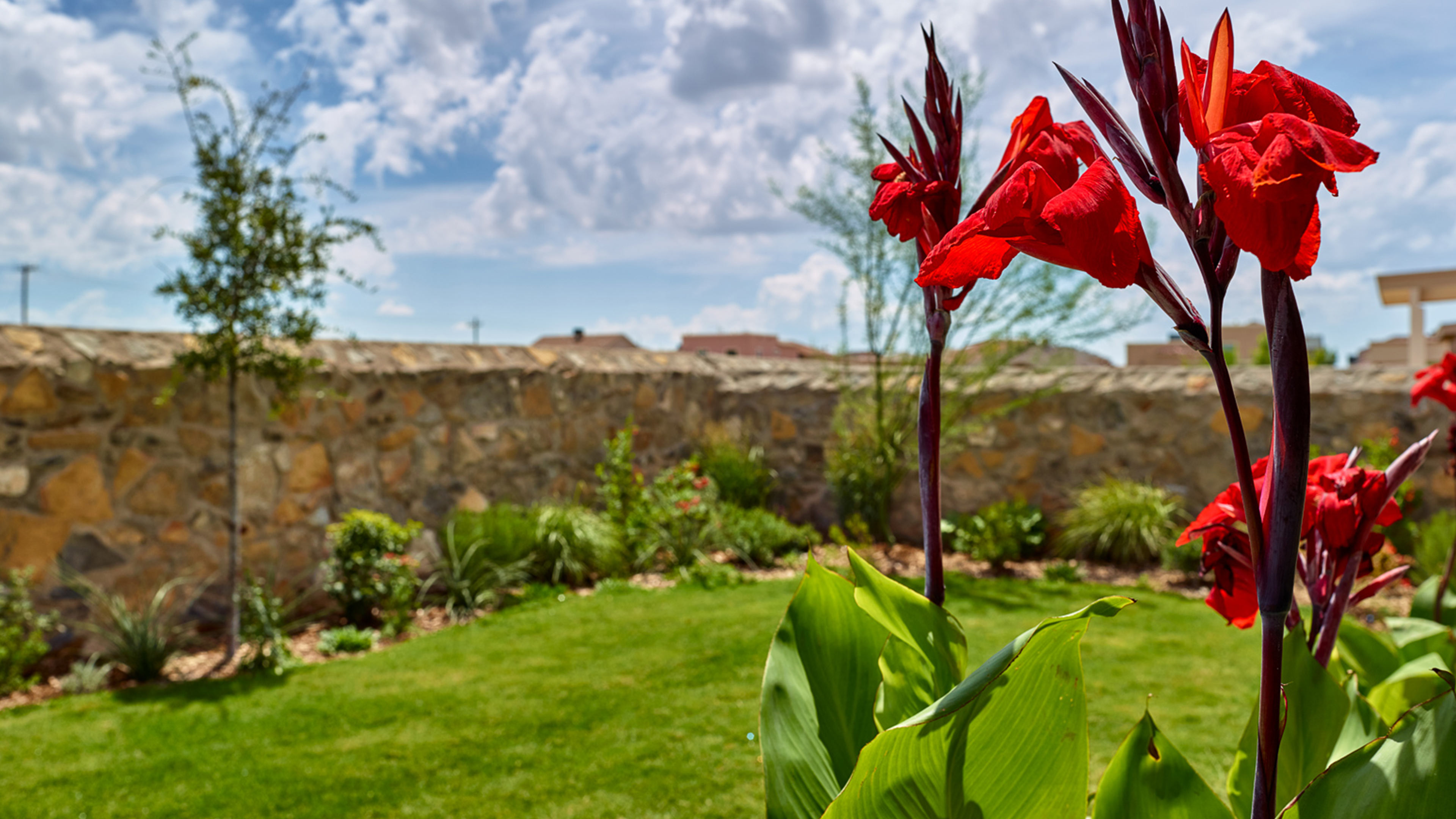 GO Designs El Paso Landscaping Design