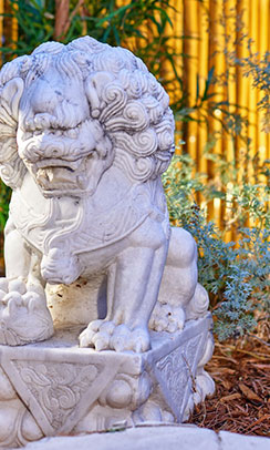 GO Designs El Paso can transform your backyard into a comtemporary retreat.