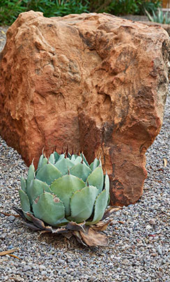 GO Designs El Paso incorporates each and every element with careful precision and cohesive integration.